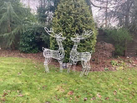 Photo of free Super large Christmas reindeer x 2 (Nork SM7) #1