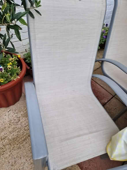 Photo of free Garden furniture (Ryde) #2