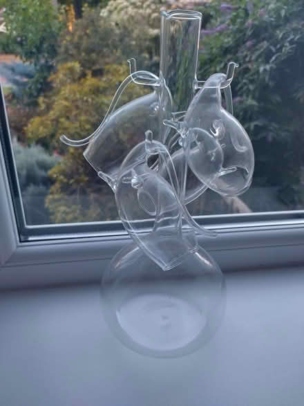 Photo of free Port decanter and 4 glasses (Allerton L15) #1