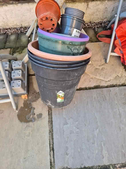 Photo of free Plant pots and seed trays (M16) #2
