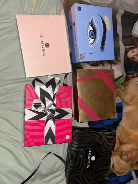 Photo of free EMPTY Glossy boxes (Caia Park LL13) #1