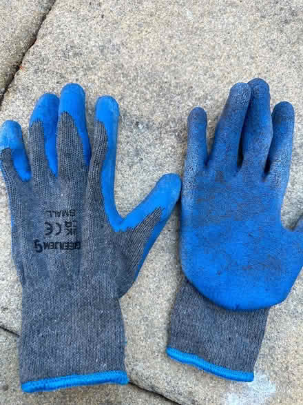 Photo of free Gardening gloves (CO4 9 Colchester) #1