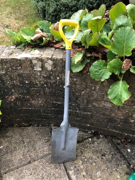 Photo of free Spade (Odd Down) #1