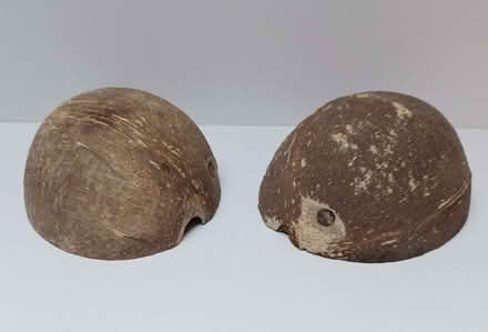 Photo of free Two half-coconut shells (Primrose LA1) #2