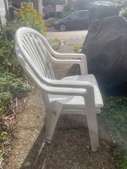 Photo of free Plastic garden chairs (Hollingbury) #2