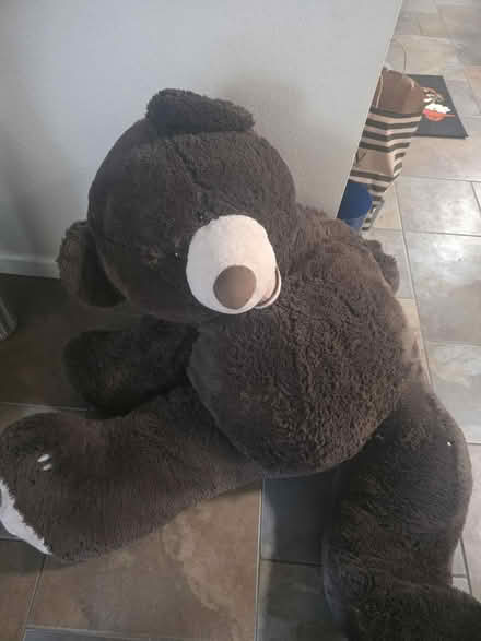 Photo of free Stuffies (San jose) #1