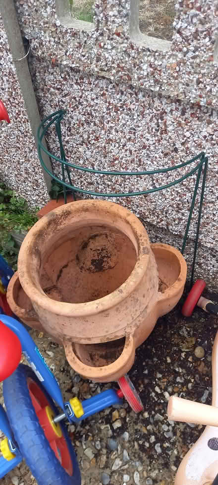 Photo of free Strawberry / Herbs pot (Liphook GU30) #2