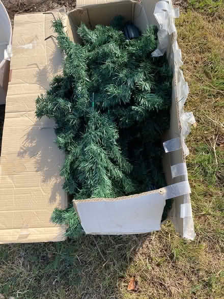 Photo of free Christmas tree (Stafford ST17) #1