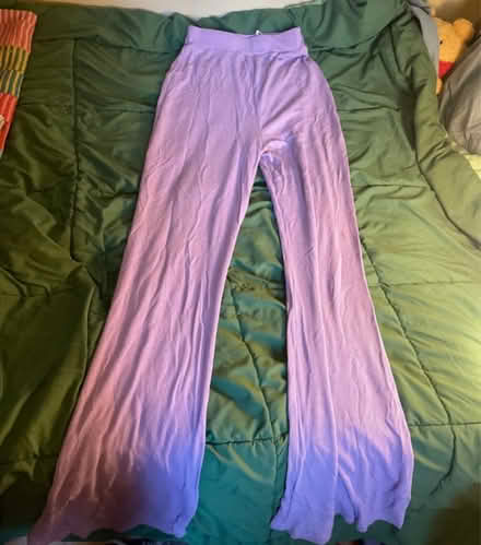 Photo of free purple pants (Sunset park) #1