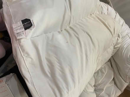 Photo of free Duck feather bed topper (Northwich) #3