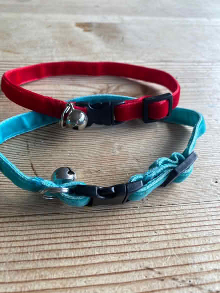 Photo of free 2 cat collars (velvety fabric) (Cumnor OX2) #1