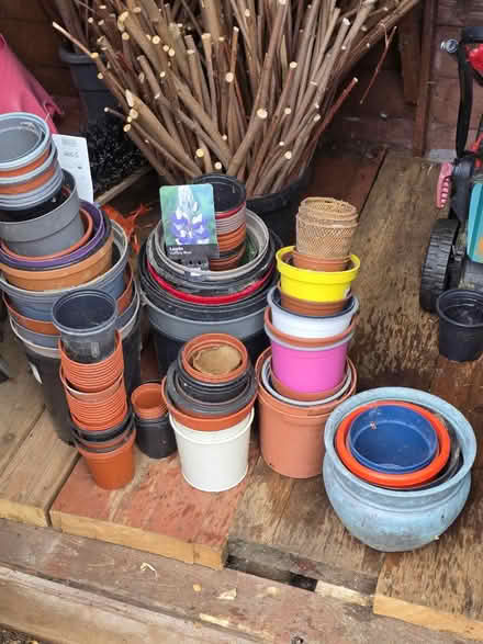 Photo of free Assortment plant pots for green (NN10) #1