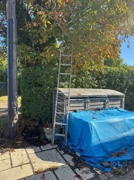 Photo of free Ladders (Great Dunmow CM6) #2