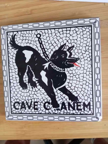 Photo of free Beware of the Dog ceramic tile (Pooley Green TW20) #1
