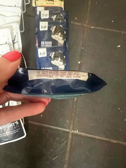 Photo of free Various kitten wet food pouches (Winchest SO22) #3