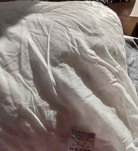 Photo of free Cushion Filling (Glyne Gap TN40) #1