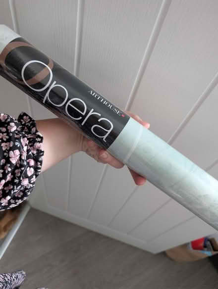 Photo of free Teal beautiful wallpaper dandelion pattern (Goffs Oak EN7) #1