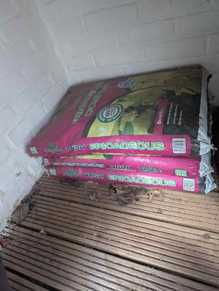 Photo of free 3 bags compost (Old Town SG1) #1