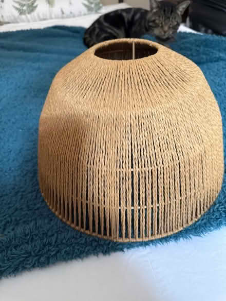 Photo of free Lamp shade (New Greens AL3) #1