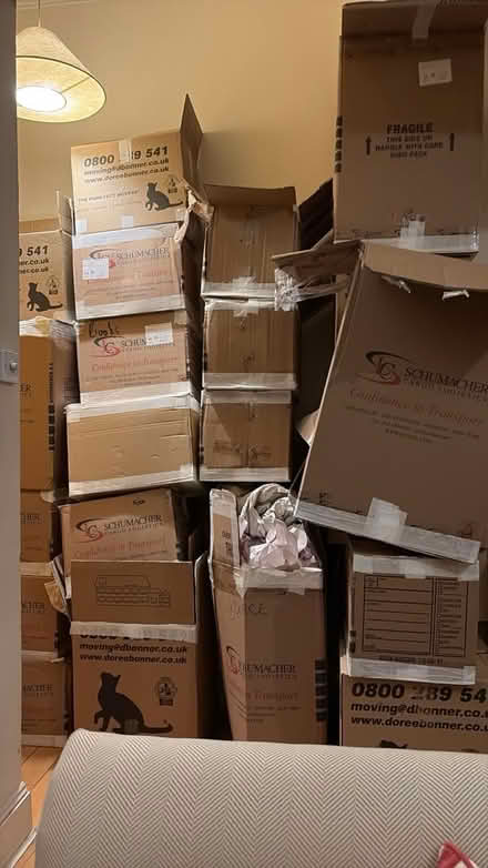 Photo of free Boxes from house move (Queen’s Park NW6) #1