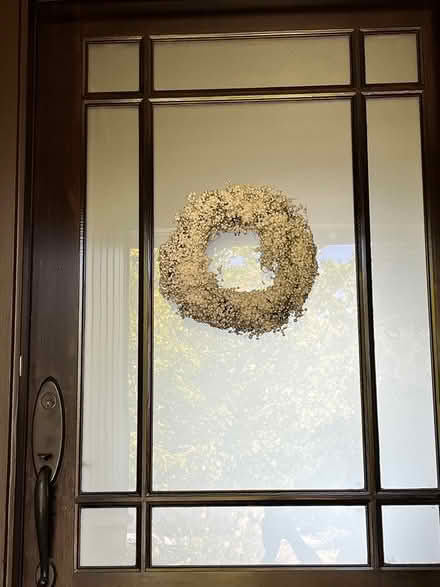 Photo of free Outdoor holiday decorations (Central San Rafael) #3