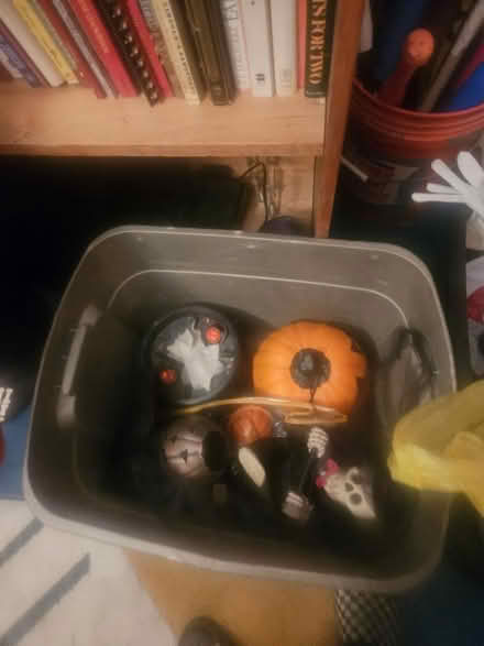 Photo of free Halloween decor & costumes (Upper west side) #4