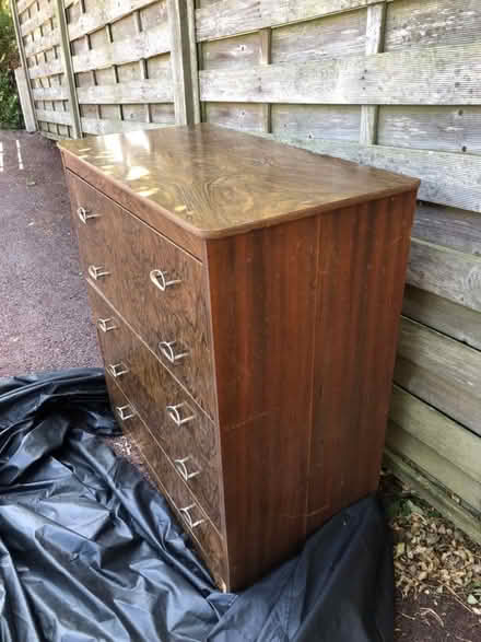 Photo of free Chest of drawers (Dyke Road area BN3) #2