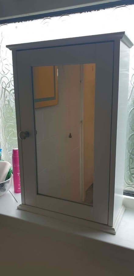 Photo of free Small bathroom cabinet with mirror 13 x 30 W x 46 cm (W x D (Manor Park S2) #1