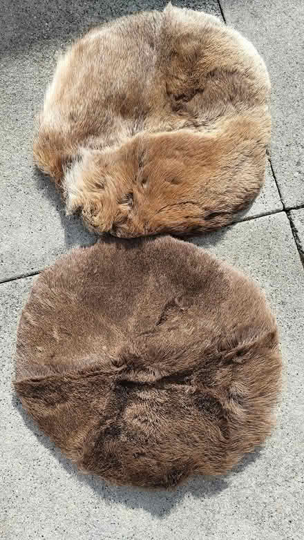 Photo of free real reindeer seat mats (Uxbridge UB10) #1