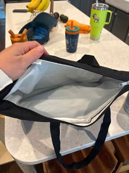 Photo of free Cold storage bag (Leesburg) #2
