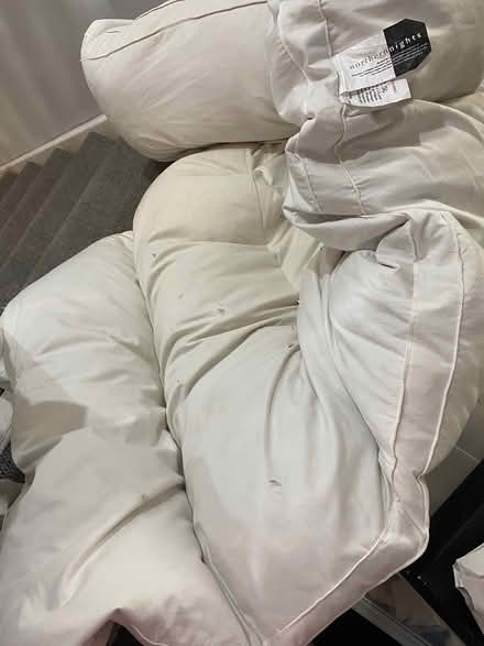 Photo of free Duck feather bed topper (Northwich) #2