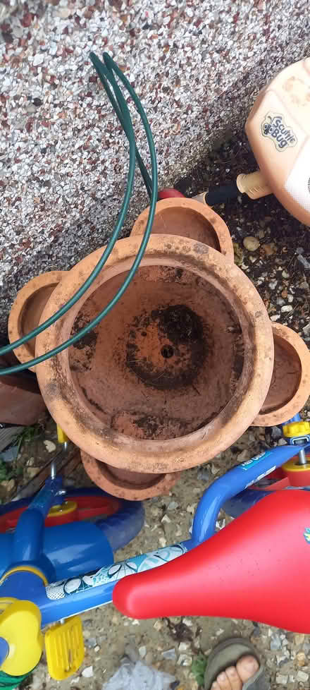 Photo of free Strawberry / Herbs pot (Liphook GU30) #3