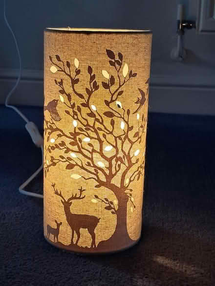 Photo of free Decorative lamp (HP3 Apsley) #1