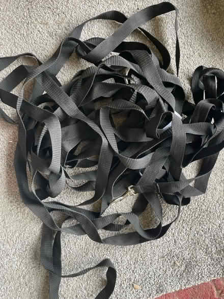Photo of free Long lead for dog (NE34 7hz) #1