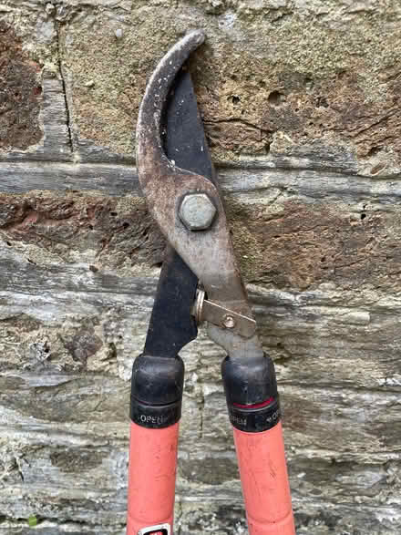 Photo of free Garden tools (Wormholt W12) #1