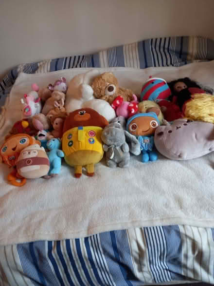 Photo of free lots of soft toys (Southwick BN42) #1