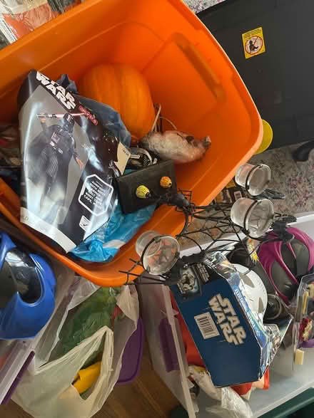 Photo of free Halloween Costumes & Decorations #2 (El Sobrante) #3