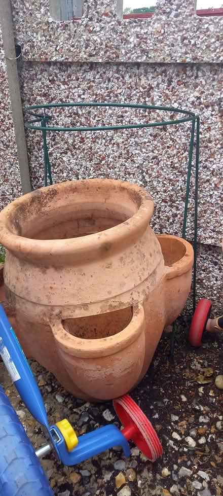 Photo of free Strawberry / Herbs pot (Liphook GU30) #1