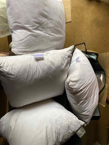 Photo of free Cushions (Home SW19) #1