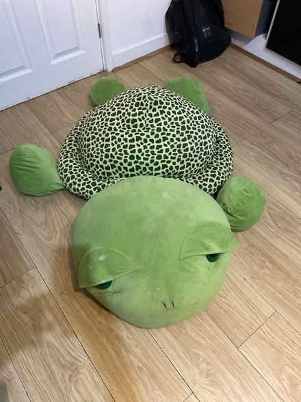 Photo of free Turtle puff (Se279) #2