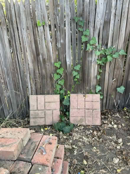 Photo of free pavers #3 (El Camino/shoreline/Miramonte) #1