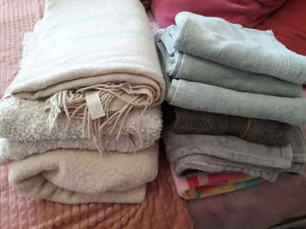 Photo of free Dog blankets and towels (Bishop's Castle SY9) #1