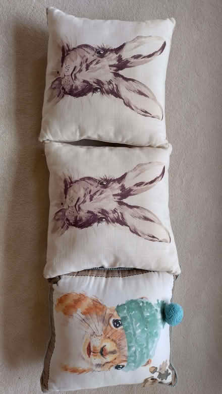 Photo of free Cushions x3 with Rabbit Motifs (Kenley CR8) #1