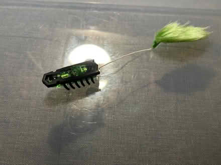 Photo of free Hexbug Nano Cat Toy (Jennetts park RG12) #1
