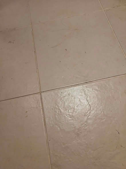 Photo of free Unused tiles (Clive Vale TN35) #2