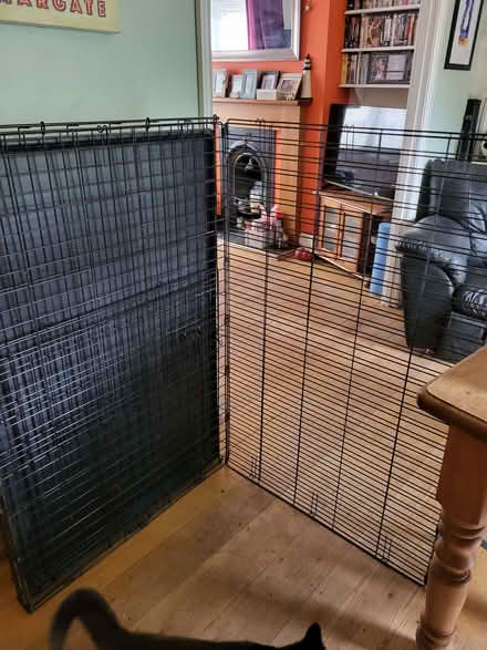 Photo of free Large Dog Cage (CT11) #1