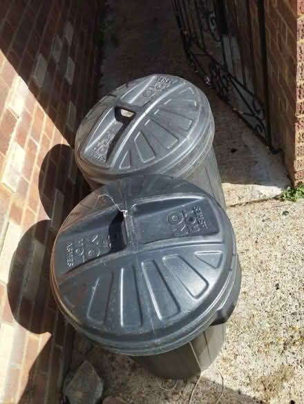 Photo of free Two large round bins with lids (Crystal Palace) #1