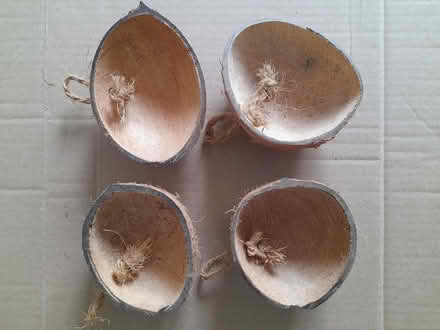 Photo of free Four Half Coconut Shells (West Cheshunt) #2