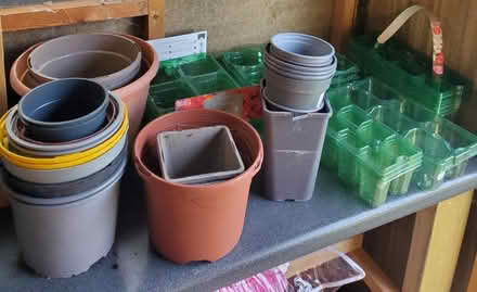 Photo of free Plant Pots & Trays (South Woodham Ferrers) #1