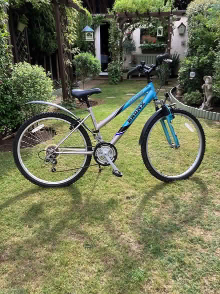 Photo of free Girls bike (Hitchin) #1
